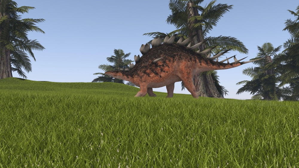 Kentrosaurus walking across a grassy field Canvas Art - Kostyantyn IvanyshenStocktrek Images (38 x 22)