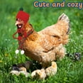thumbnail image 4 of Dalrosia Hen Hats for Chickens Clothes and Scarf Set, Chicken Hats for Hens with Scarves, Hat for Chickens to Wear, Pets Costume for Birds Real Hen Duck Hamster, Chicken Costume, 4 of 5