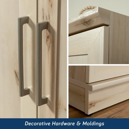 Sauder - Homeplus 2-Door Storage Cabinet