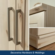 Sauder HomePlus Storage Cabinet, Pacific Maple Finish