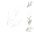thumbnail image 2 of Langgg 3pcs Large Wedding Decoration Branch Simulation Plastic Dried Tree Branches Artificial Fake Foliage Plant, 2 of 8