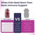 thumbnail image 5 of Elderberry Gummies for Kids - 3 in 1 Elderberry Vitamin C and Zinc - Vegan, Organic Immune Support Supplement for Kids - No Added Sugar -Dentist Friendly - Non GMO - Allergen free 60 Chewable Gummies, 5 of 8