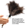 thumbnail image 4 of Plumero iHuFeather, plumas de avestruz, 35 cm, color natural, 10 unidades, 4 of 6