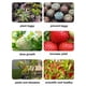 thumbnail image 2 of Full Spectrum Plants Grow Light Auto On/Off LED Lamp Sunlight Quantum Grow Lamp 1 Skewers, 2 of 5