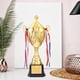 thumbnail image 1 of Premio Trofeo Prop Apreciación Regalo Decoraciones Trofeo Copa Trofeos por Logros Corporativos Fiesta Celebraciones Niños Adultos Altura 44cm BLESIY Trofeo de premio, 1 of 8
