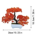 Azaleas Flower Decoration Flower Bed Horticultural Layout Project azaleas-flower-decoration-flower-bed-horticultural-layout-project