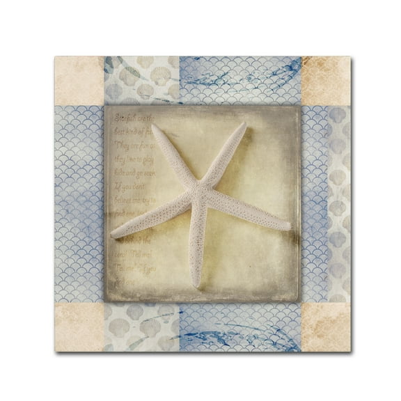 Trademark Fine Art 'White Sea Starfish' Canvas Art by LightBoxJournal