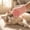 83#Pink, variant on Pet Washing Mitt Fine Loop Cloth, Soft Absorbent Bathing Drying Mitt for Dogs and Cats, Lint Free Grooming Glove with Hanging Loop, Gentle Cleaning Mitt for Daily Pet Bath and Dry