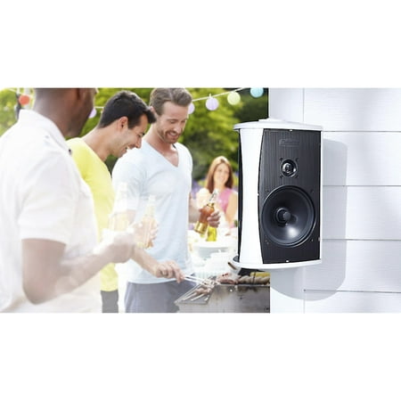 Definitive Technology - 6-1/2" Indoor/Outdoor Speaker (Each) - Black