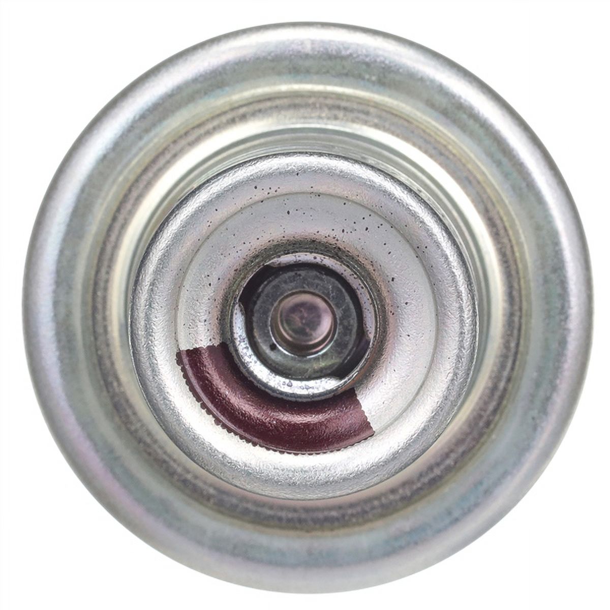 Fuel Injection Pressure Regulator