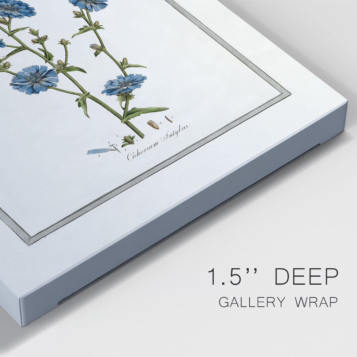 Soft Botanical I Premium Gallery Wrapped Canvas - Ready to Hang