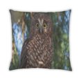 thumbnail image 2 of Ahgly Company Animals Owl Coussin Extérieur, 18 Pouces par 18 Pouces, 2 of 6
