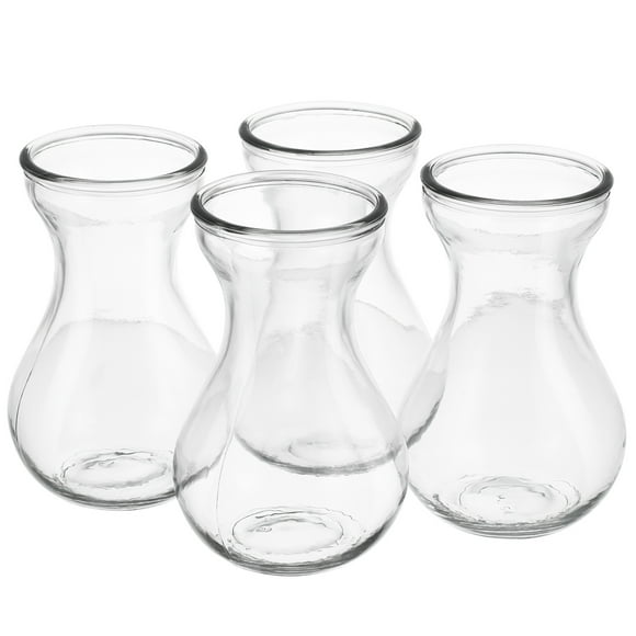 Miangastore 4pcs Hyacinth Vase Small Glass Vases Centerpieces Clear Hyacinth Growing Bud Vase