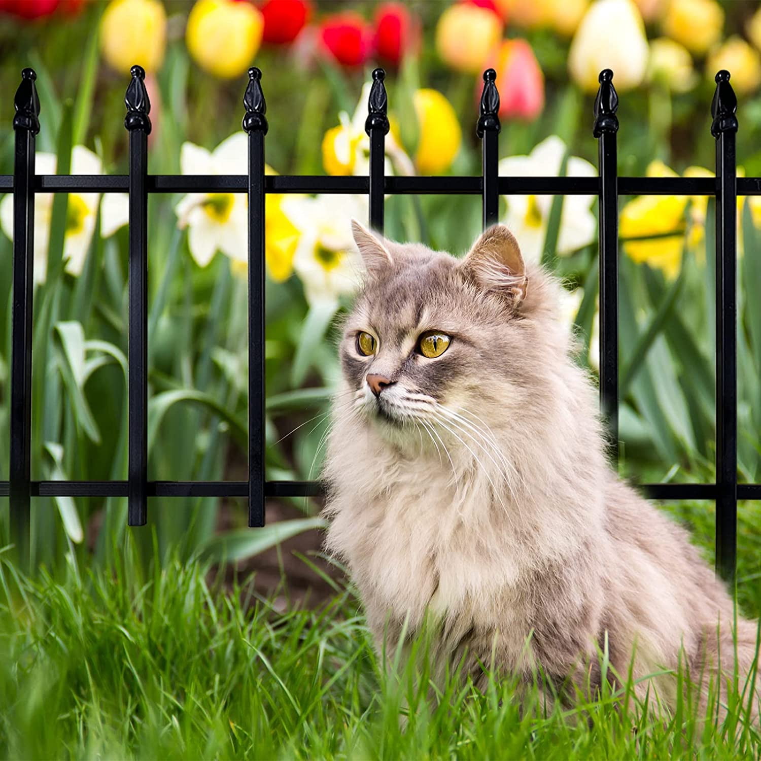 Metal Decorative Garden Fence 22" Wide x 18" High, 5 Panels, 9.17 Feet Total Length, Rustproof & Easy to Install