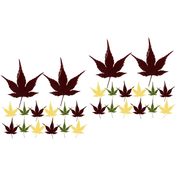 FRCOLOR 60 pcs Sushi Maple Leaf Sushi Dish Decorative Maple Leaves Sashimi Decor Leaf