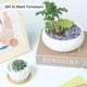 thumbnail image 2 of Vidrio decorativo, astillas, piedras, cristal triturado, cuarzo T4U, 2 of 3