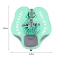 thumbnail image 3 of Flotador de natación Entrenador de natación para piscina con flotador para bebé no inflable para bebés de 3 a 24 meses Tomshoo Flotador de natación, 3 of 7