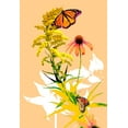 thumbnail image 2 of Evalia Designs 11x14 Gold Ornate Wood Framed with Double Matting Museum Art Print Titled - Monarchs on Golden Rod I, 2 of 4