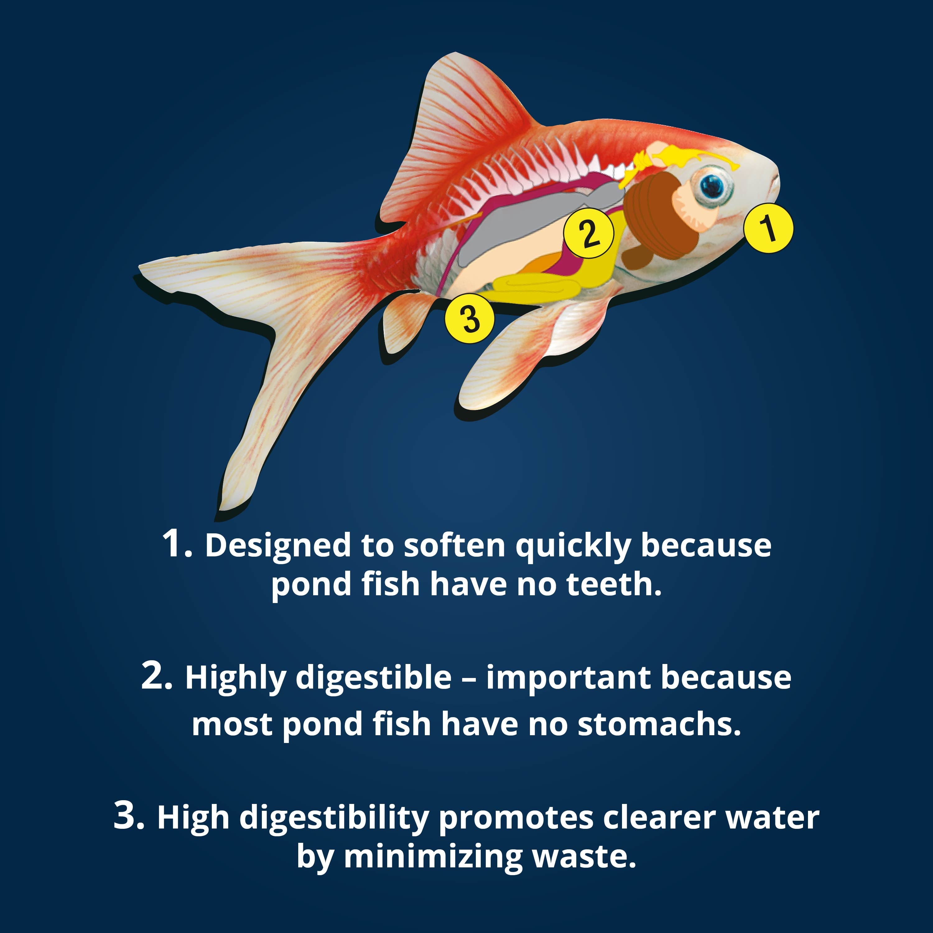 (2 pack) TetraPond Spring And Fall Diet 1.72 Pounds, Pond Fish Food, For Goldfish And Koi