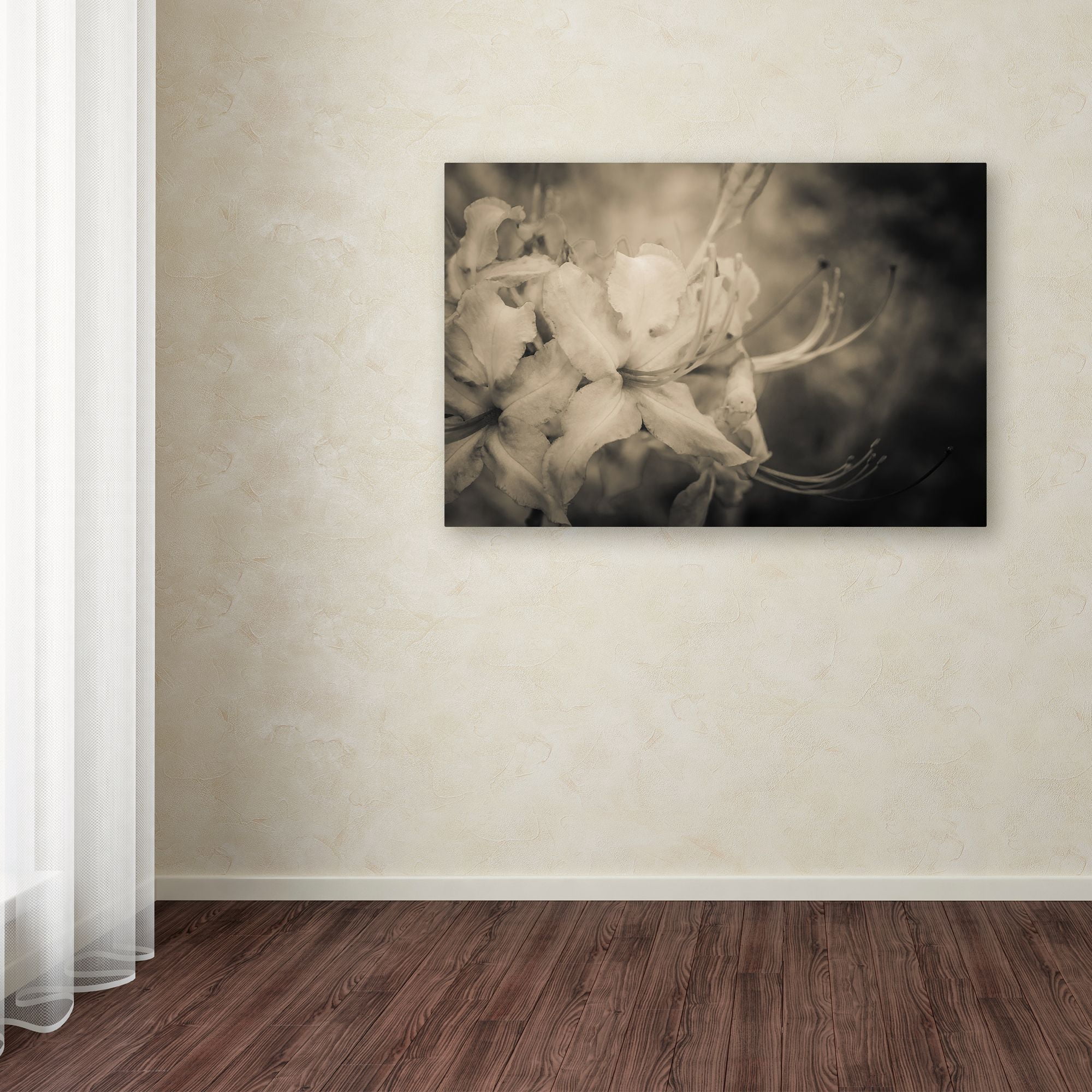 Trademark Fine Art 'Sepia Aged Rhododendron Blooms' Canvas Art by PIPA Fine Art