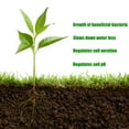 Nuticos Soil Activator Lawn & Garden Soil Conditioner,Concentrated ...