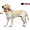 thumbnail image 6 of DogLine - Biothane Waterproof Dog Collar Strong Coated Nylon Webbing with Black Hardware Odor-Proof for Easy Care Clean High Performance Fits Small Medium Large Dogs(Red: L: 12" - 15" |W 5/8"), 6 of 8