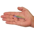 thumbnail image 4 of Berkley Ripfish, 7, Jester, 4 of 5