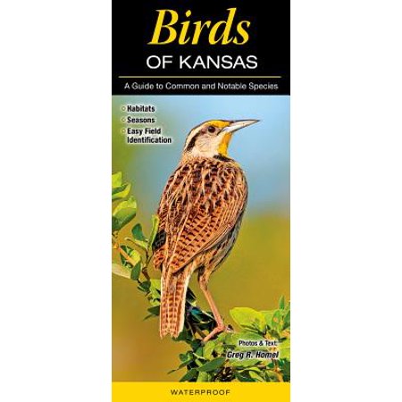 Birds of Kansas : A Guide to Common and Notable Species - Walmart.com