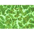 thumbnail image 1 of Ahgly Company Indoor Rectangle Abstract Green Modern Area Rugs, 6' x 9', 1 of 4
