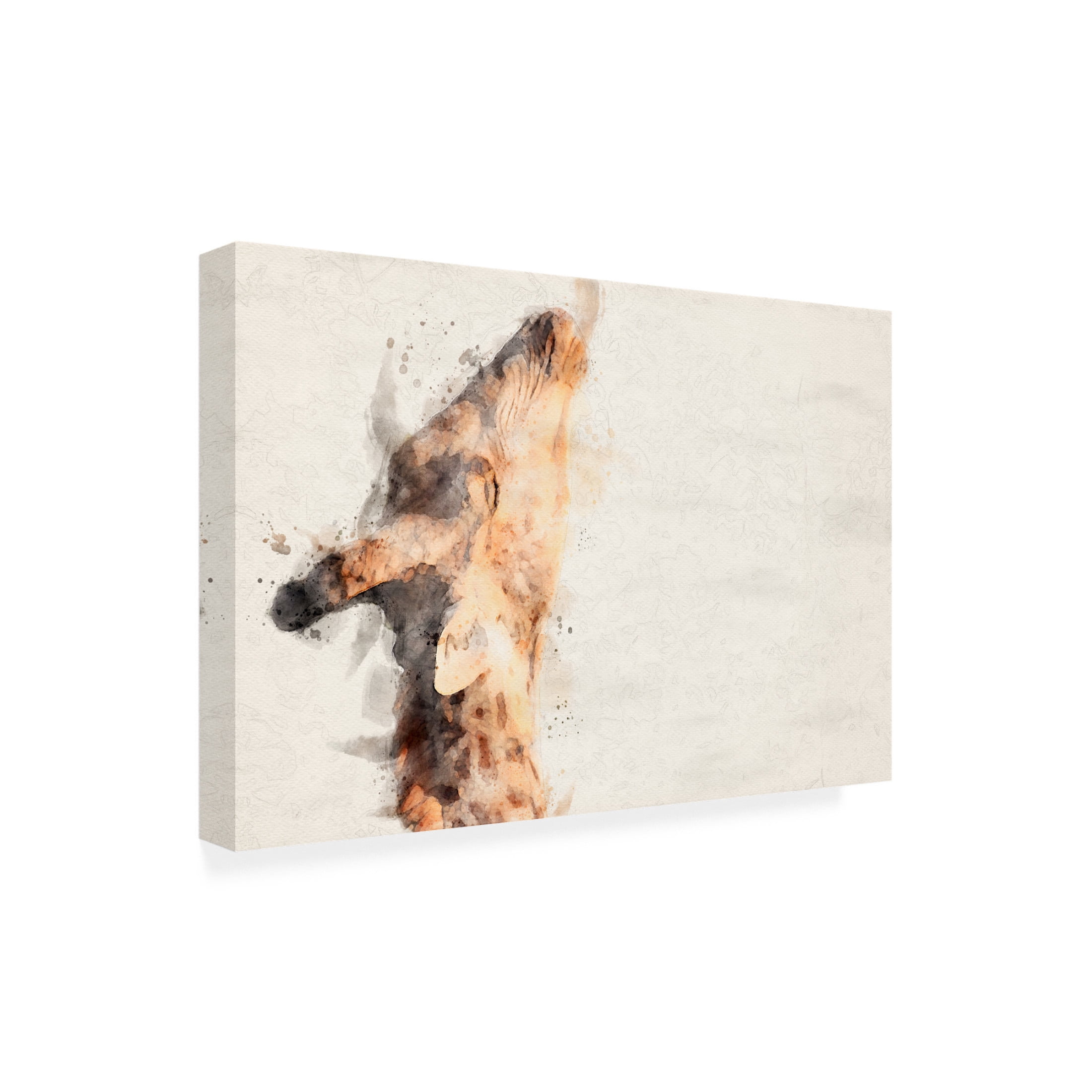 Trademark Fine Art Arno Du Toit Abstract Giraffe Watercolor Art Canvas Wall Art