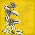 thumbnail image 2 of Grey, Jace 26x26 White Modern Wood Framed Museum Art Print Titled - Flowers 3, 2 of 4