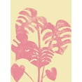 thumbnail image 2 of Phillip, Jamie 19x24 White Modern Wood Framed Museum Art Print Titled - Tropical Fern, 2 of 4
