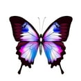 thumbnail image 1 of Rongfmy Strass Peintures Papillon, 1 of 9