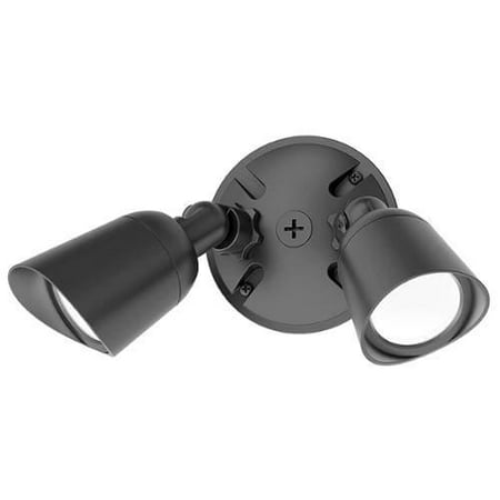 Architectural Star - WAC Lighting Endurance Double Spot Energy Star LED Spot Light Architectural Graphite