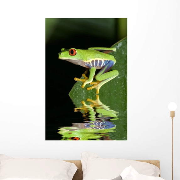 Red Eye Tree Frog Wall Mural by Wallmonkeys Peel and Stick Graphic (36 in H x 24 in W) WM70747