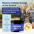 thumbnail image 3 of NMNH (NMN Supplement Alternative) Nicotinamide Riboside & TMG - NAD Supplement for Anti-Aging - 60 Capsules, 3 of 8