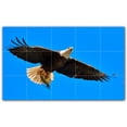 thumbnail image 1 of Picture-Tiles.com: Bird Ceramic Tile Wall Mural WAL500156-53S. 21.25"W x 12.75"H using (15) 4.25" x 4.25" Ceramic Tiles-Satin Finish, 1 of 3