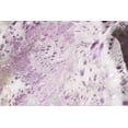 thumbnail image 2 of Natural 676685045829 6 x 7 ft. Scotland Cowhide Rug - Grey, Pink & Silver, 2 of 2