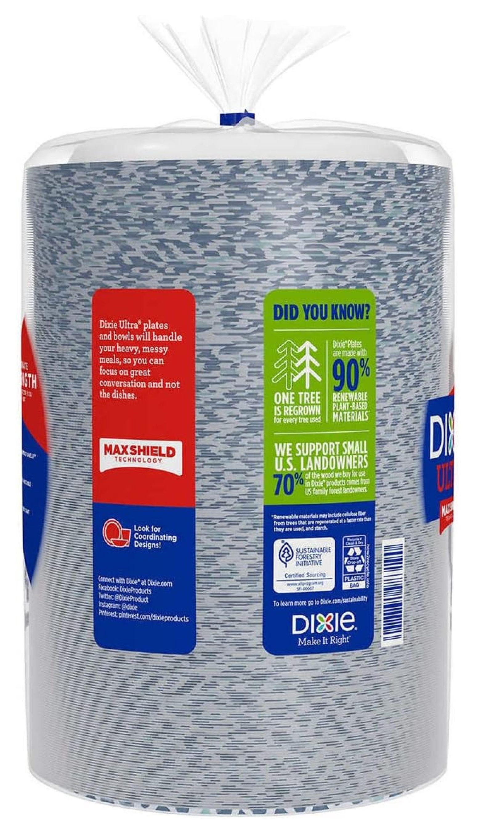 Ultra Disposable Paper Plates, 8 ½ inch, Lunch or Light Dinner Size Printed Disposable Plates, 240-count