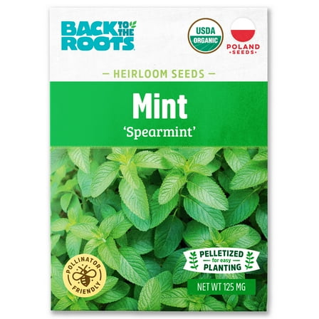 Back to the Roots Organic Spearmint Plant Seeds, Non GMO