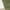 Olive Green, variant on Tao Boys Cargo Pants Stretch Elastic Waist School Kids Twill Joggers Solid Color Jogger Pants With Pockets Fashion PantsOlive Green9 Years