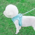 thumbnail image 3 of Mosey Premium Pet Traction Leash Faux Rabbit Fur Edging   for Small Medium Dogs   Prevent Rushing Out, 3 of 7