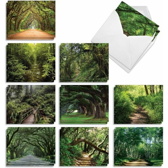 The Best Card Company - 20 Landscape Nature Note Cards Blank (4 x 5.12 Inch) (10 Designs, 2 Each) - Nature Trails AM6467OCB-B2x10 Modern