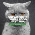 thumbnail image 4 of Supreme Source Grain Free Dry Cat Food, Whitefish Meal & Salmon Meal Recipe, 3 Pound Bag (Pack of 4), 4 of 10