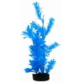 thumbnail image 4 of Aqua Culture Water Bouquet Aquarium Plant - Bright Color, 4 of 8