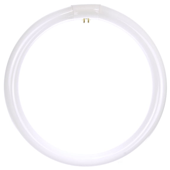 Diodesy FC12T9 Circline Fluorescent Lamps, 12-Inch Size, 32 Watts, 2100 Lumens, 4-Pin Base (G10q), 10,000 Life Hours, 41K - Cool White