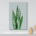 thumbnail image 2 of wall26 Canvas Print Wall Art Green &amp; White Stripe Zebra Plant Succulent Nature Wilderness Photography Realism Floral Botanical Multicolor for Living Room, Bedroom, Office - 16"x24", 2 of 5
