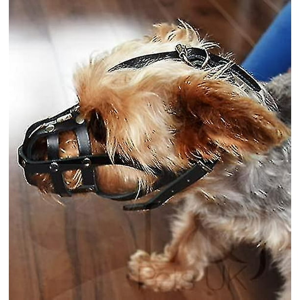Bozal de cuero ligero para perros chihuahua, yorkshire terrier, mini pitcher y otros perros pequeños (cuero natural, 00)