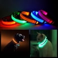 thumbnail image 2 of LED PET Safety Halo Style Collar, 2 of 6