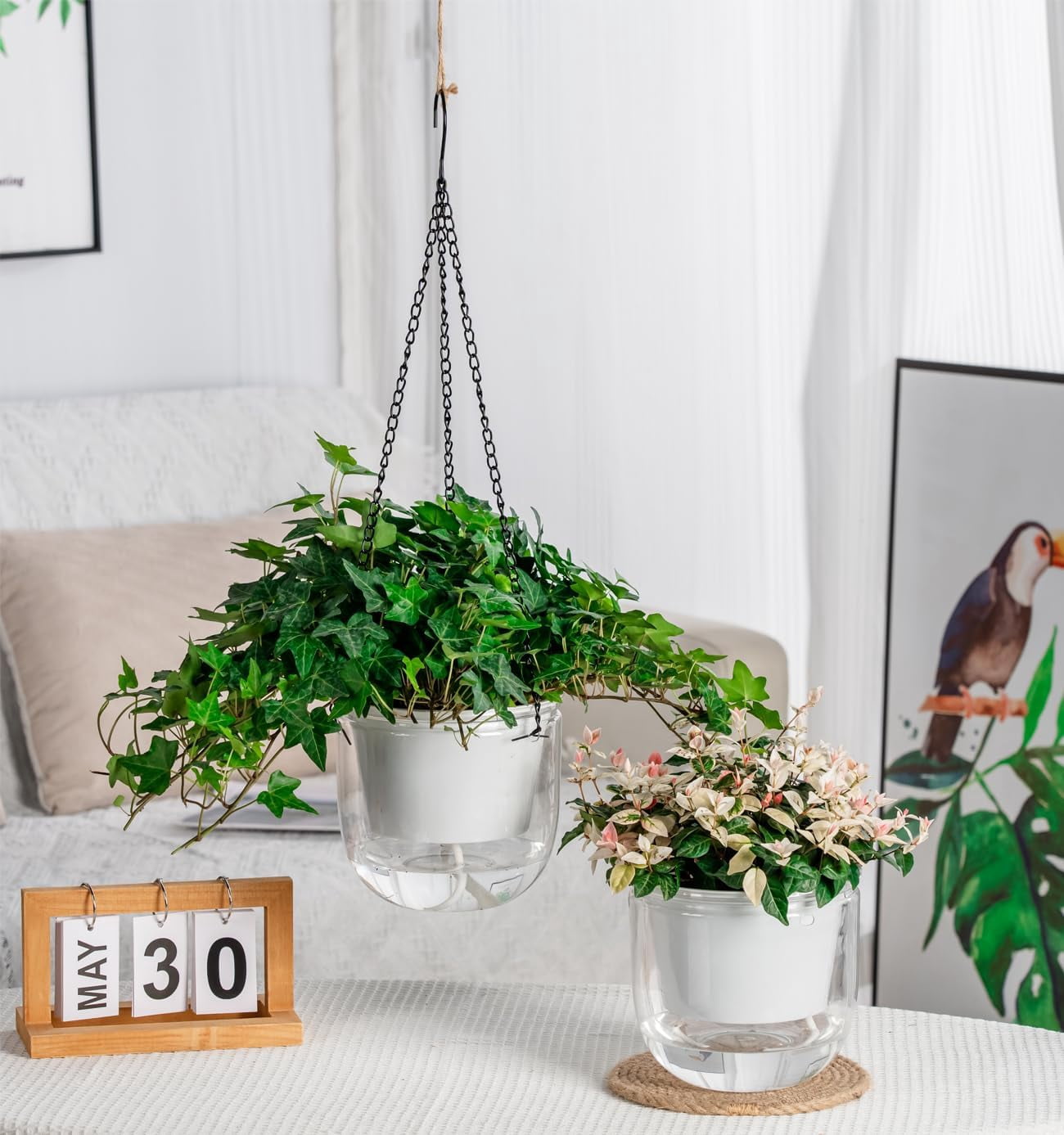 2 Pack Self Watering Hanging Planters Indoor Flower Pots, 6.5 Inch Outdoor Hanging Basket, Plant Hanger with Hooks Drainage Holes for Garden Home
